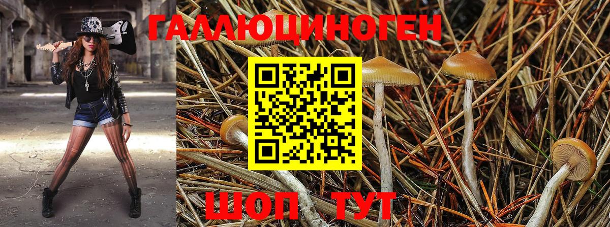 Сатка  Галлюциногенные грибы мухоморы  Псилоцибиновые грибы GOLDEN TEACHER  Вход с VPN 